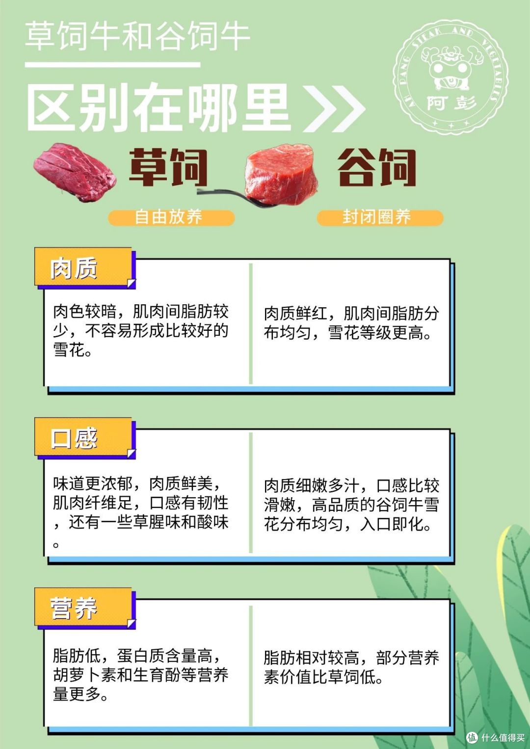 一篇读懂草饲牛和谷饲牛的区别在哪里？