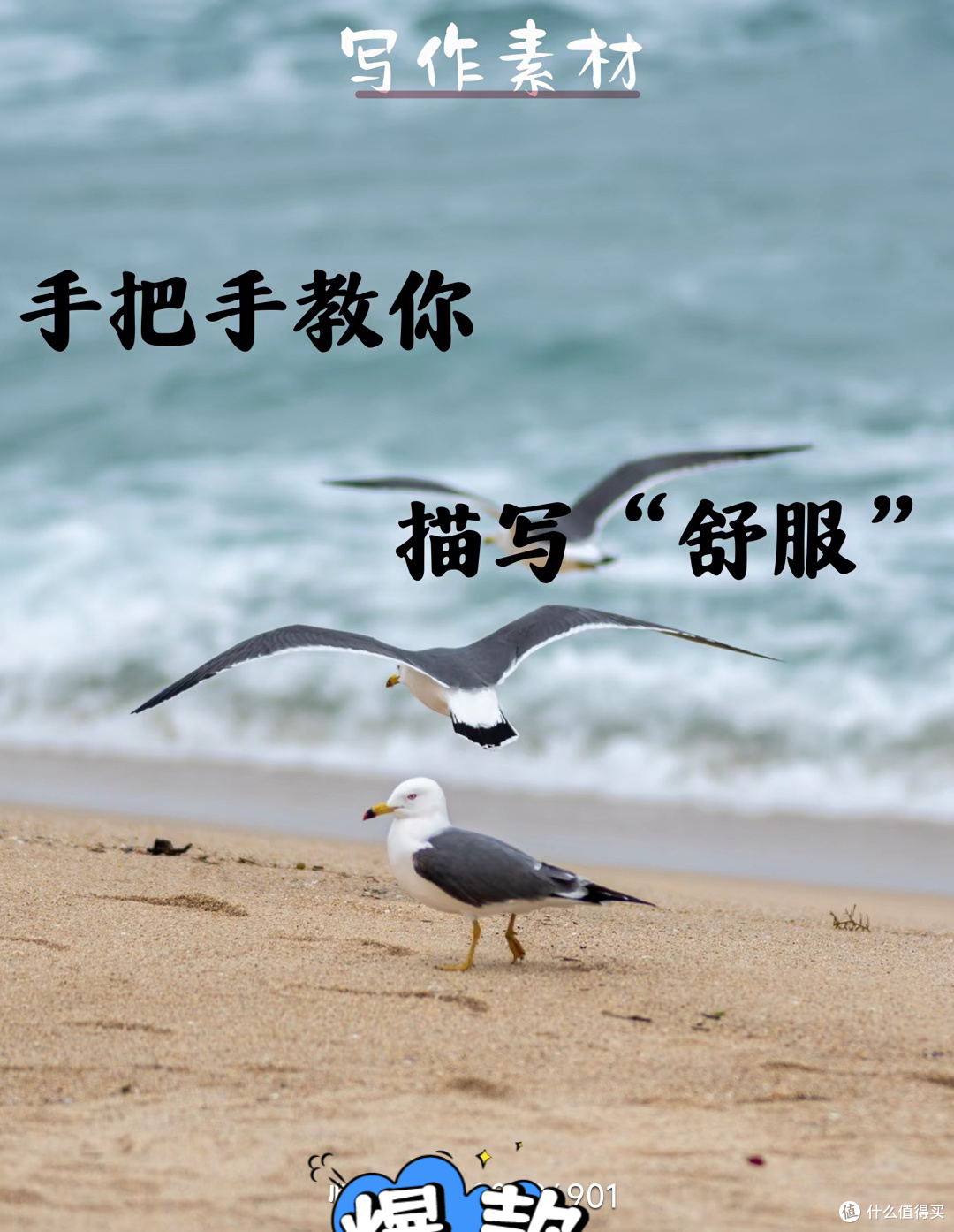 从新手到高手的写作技巧分享