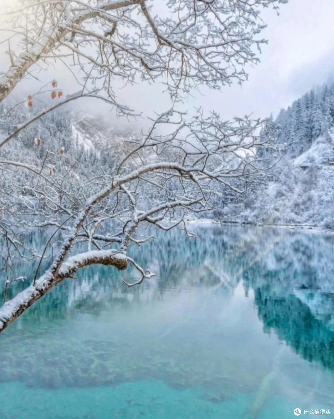 12.9 九寨沟现状雪景绝美‼️