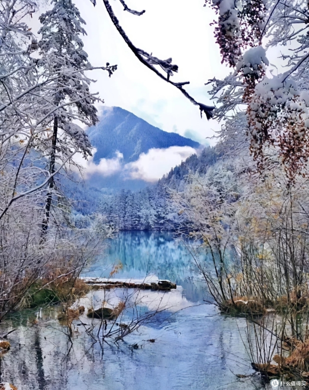 12.9 九寨沟现状雪景绝美‼️