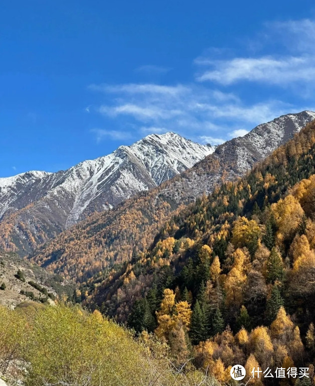 12.4四姑娘山雪景真的封神了