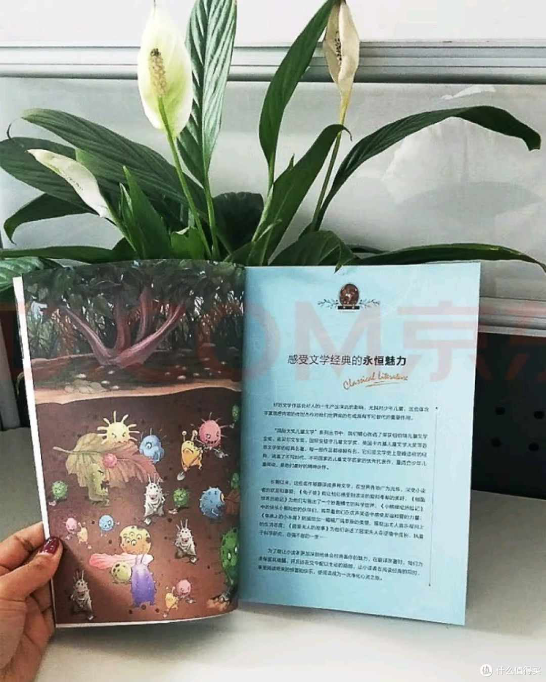 《细菌大冒险》:揭秘微观世界的奇妙旅程!