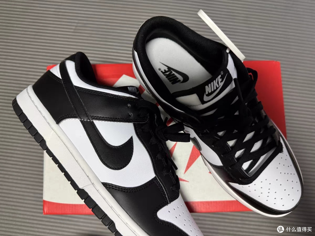 Nike耐克DUNK LOW男子运动鞋