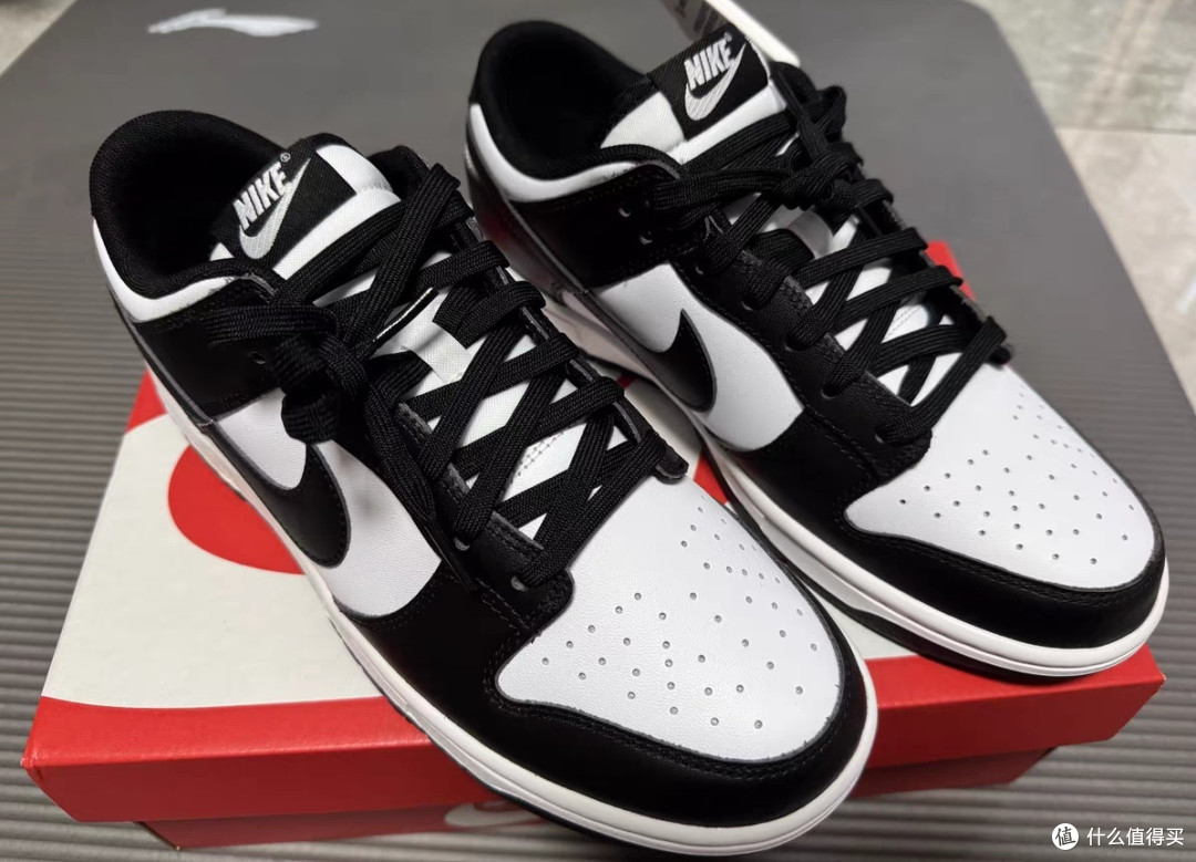 Nike耐克DUNK LOW男子运动鞋