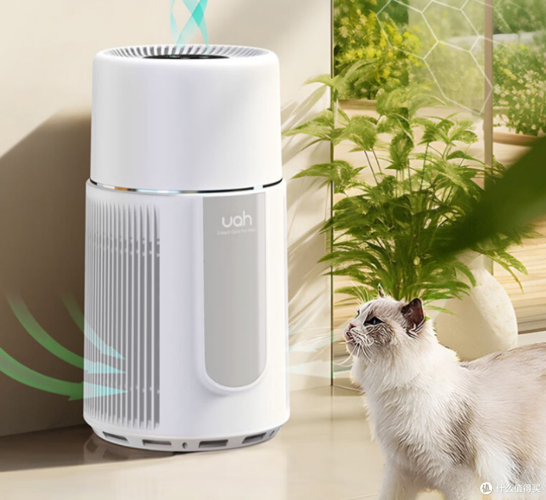 家里养宠浮毛满天飞怎么办？宠物空气净化器有用吗？求推荐！