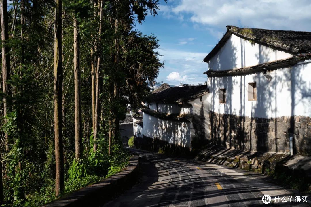 这里的秋天无平替！抓住最后的尾巴，赶紧再玩一趟~