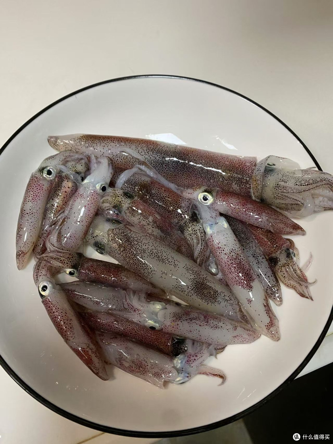 你没体验过的事情，海上钓鱿鱼，我帮你体验了