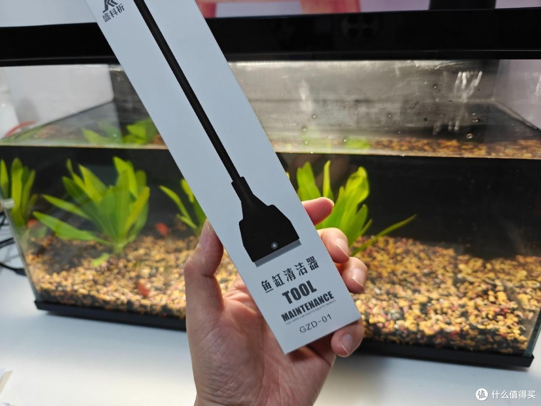 年轻人养鱼新潮流?当贝智能鱼缸1Ultra大揭秘!
