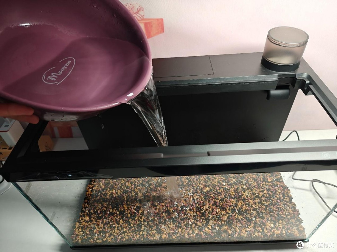 年轻人养鱼新潮流?当贝智能鱼缸1Ultra大揭秘!
