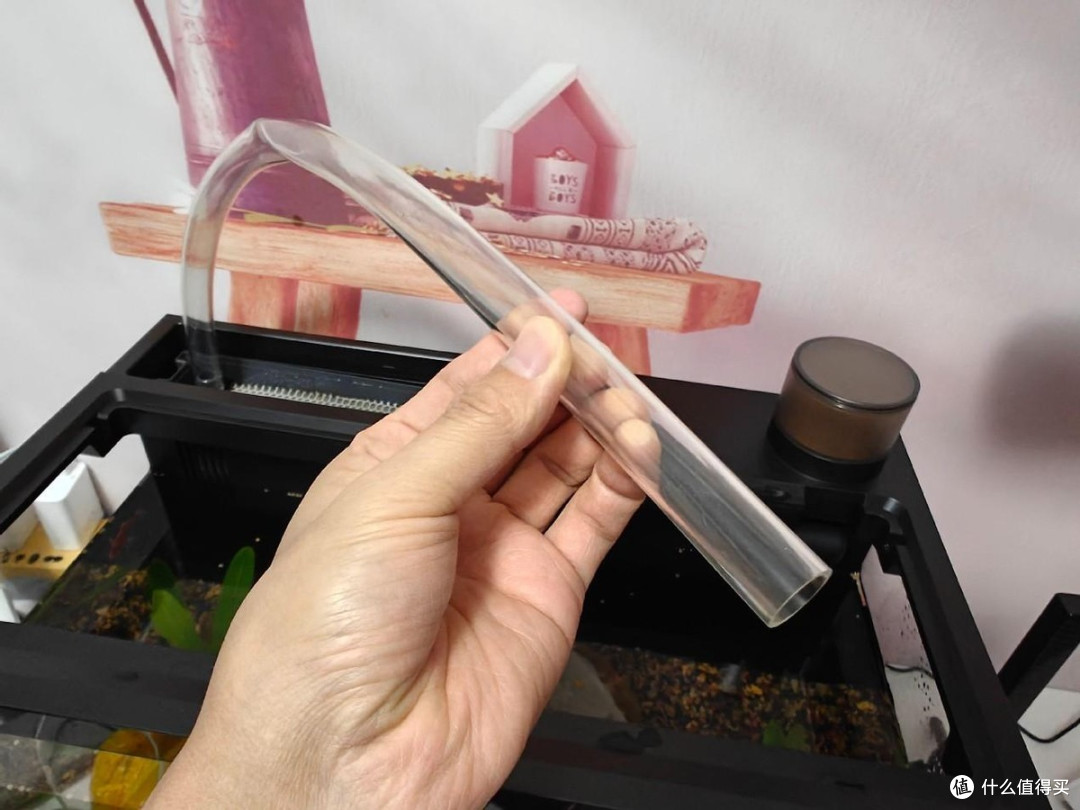 年轻人养鱼新潮流?当贝智能鱼缸1Ultra大揭秘!