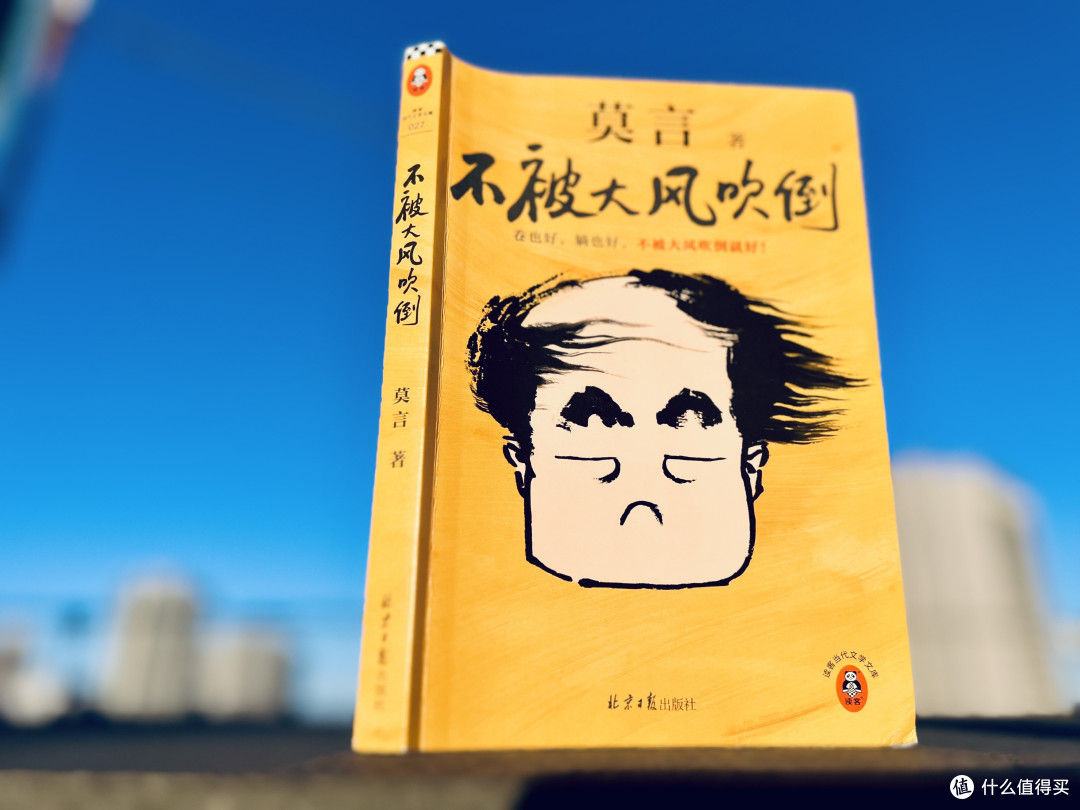人生道路难免遇到挫折，卷也好躺也好一定《不能被大风吹倒》