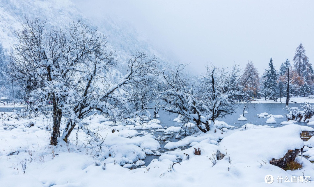 东北雪景，你心动了吗？