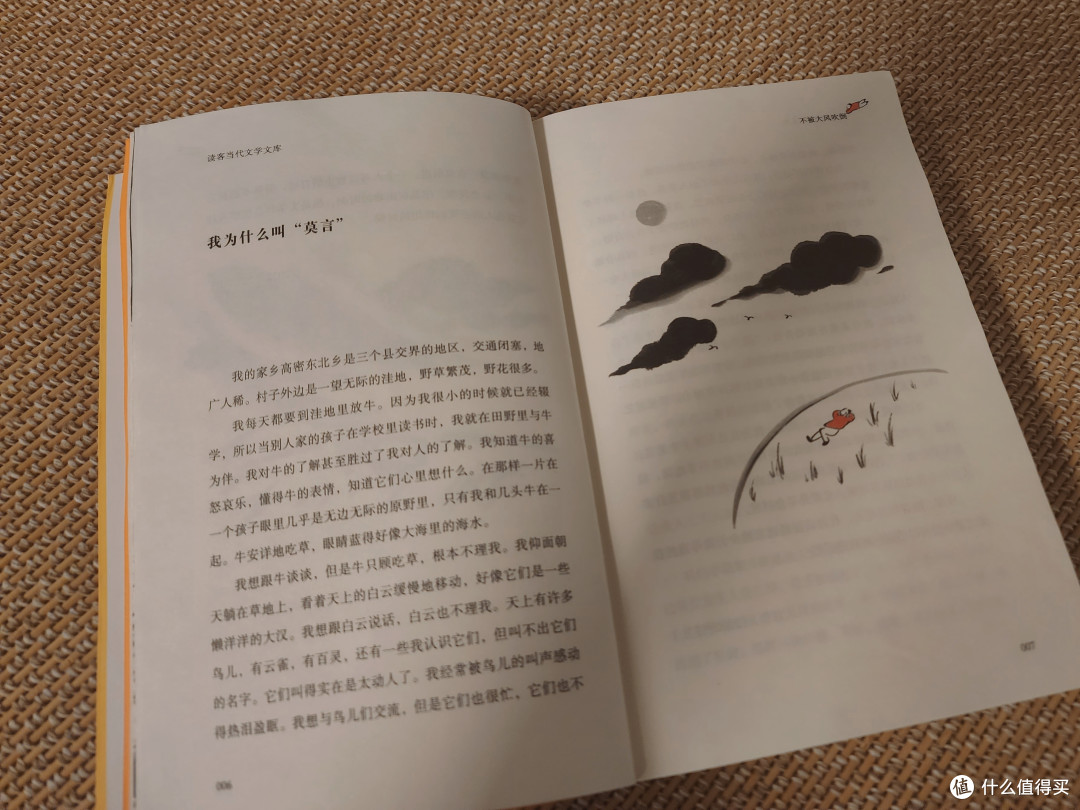 【好书推荐】何其有幸读到这么一本好书——《不被大风吹倒》