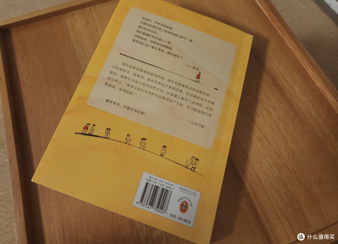 【好书推荐】何其有幸读到这么一本好书——《不被大风吹倒》