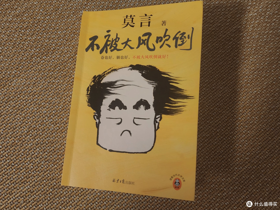 【好书推荐】何其有幸读到这么一本好书——《不被大风吹倒》