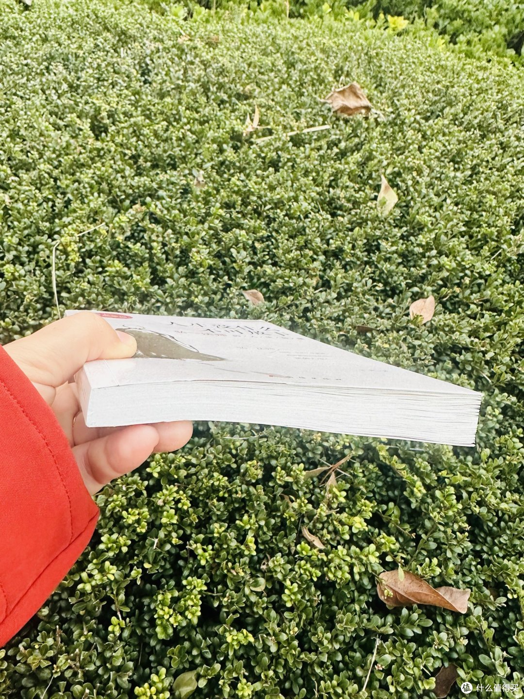 弘一法师:人生智慧!人生没什么不可放下🫳