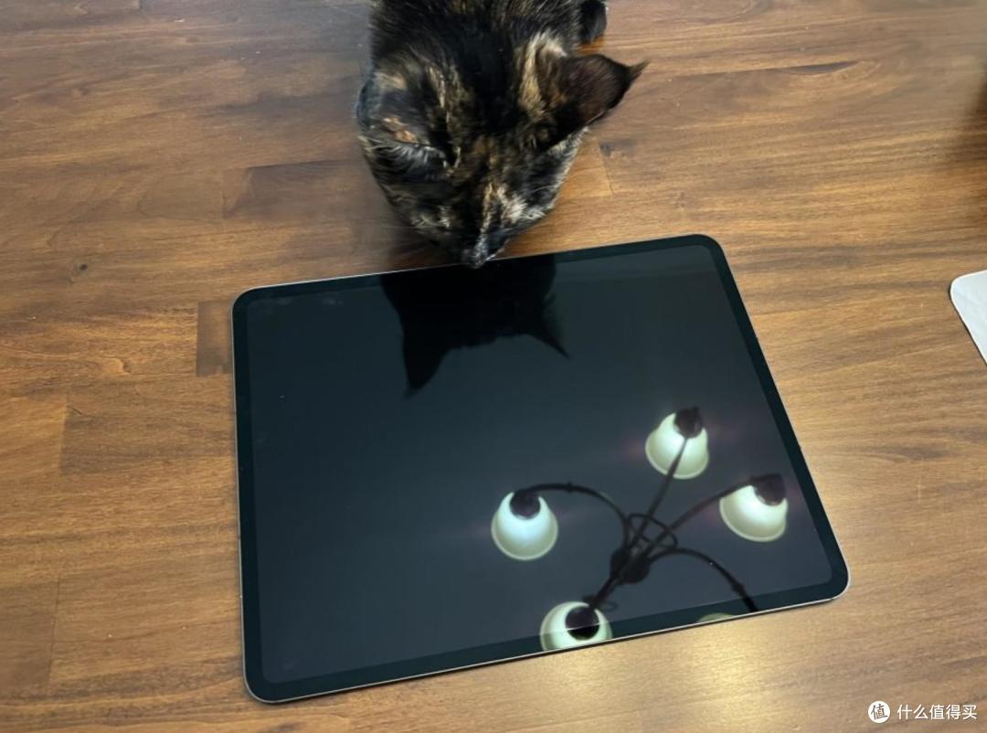 2024 年“4款最佳”iPad排行：新款iPad非常棒，所有都均经过测试