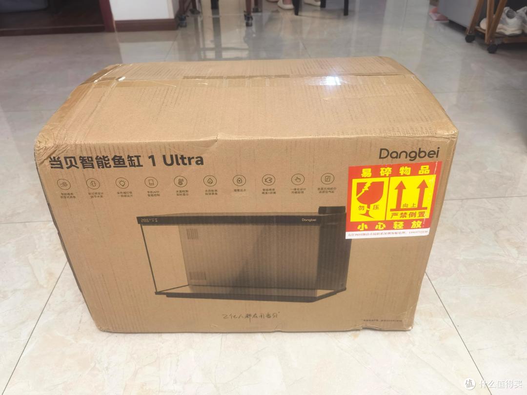 养鱼小白入门级教程!当贝智能鱼缸让养鱼简单起来