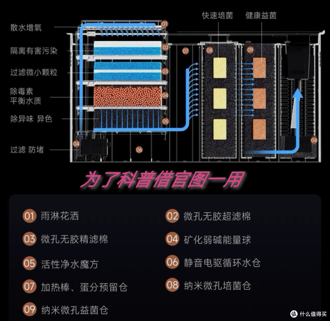 养鱼小白入门级教程!当贝智能鱼缸让养鱼简单起来