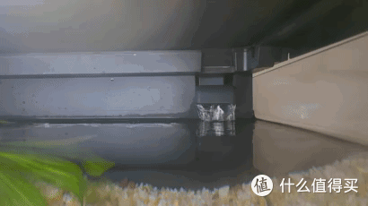 养鱼小白入门级教程!当贝智能鱼缸让养鱼简单起来
