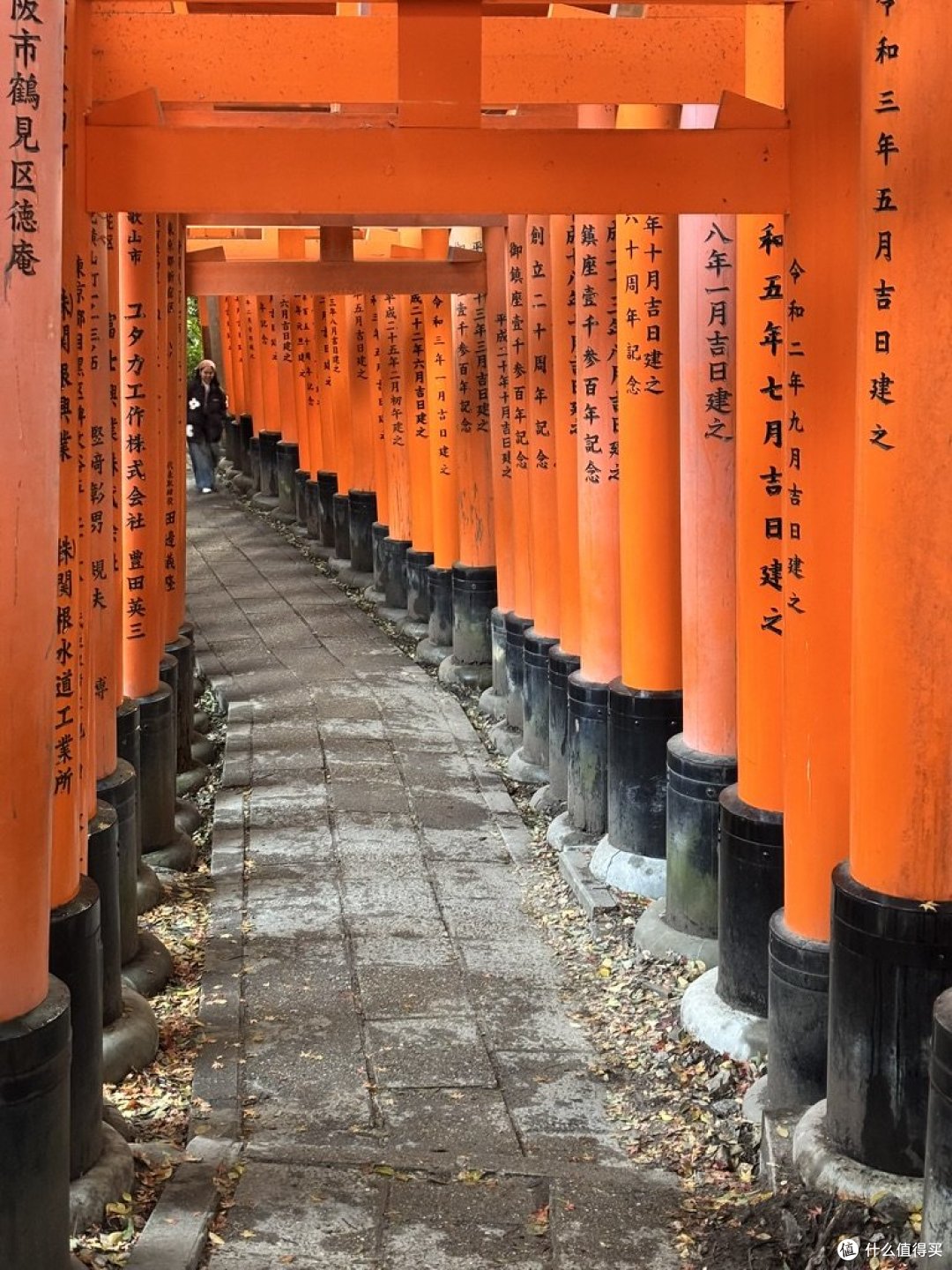 7天6夜京都、奈良、大阪赏枫之旅，超低花费整理