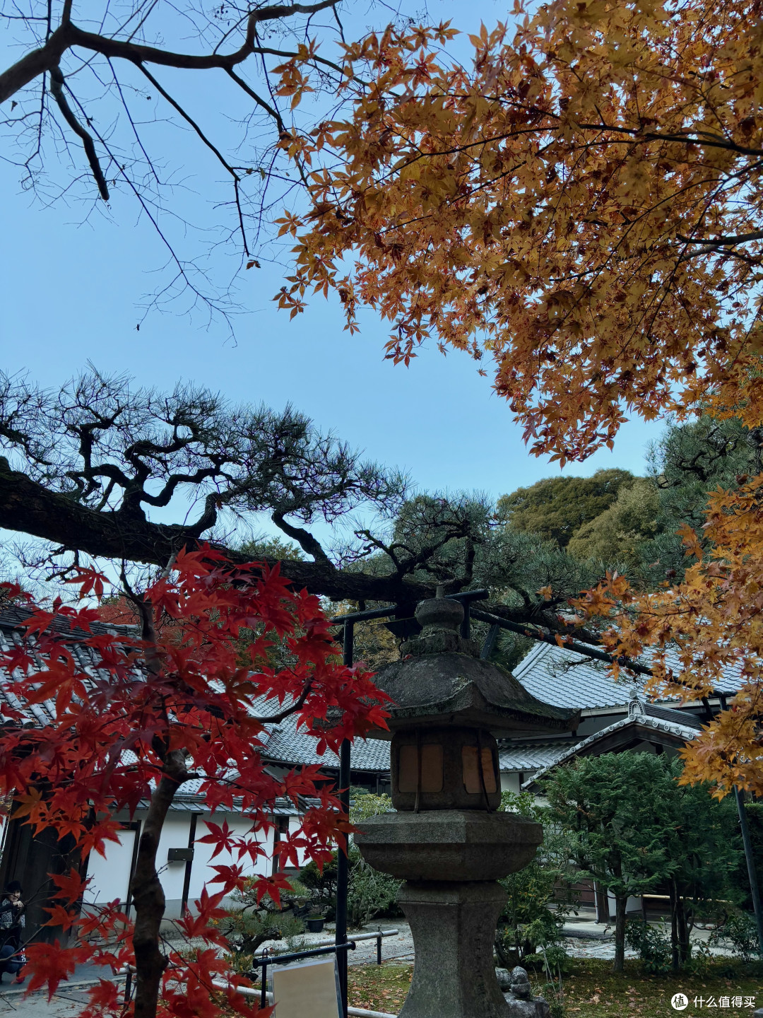 7天6夜京都、奈良、大阪赏枫之旅，超低花费整理