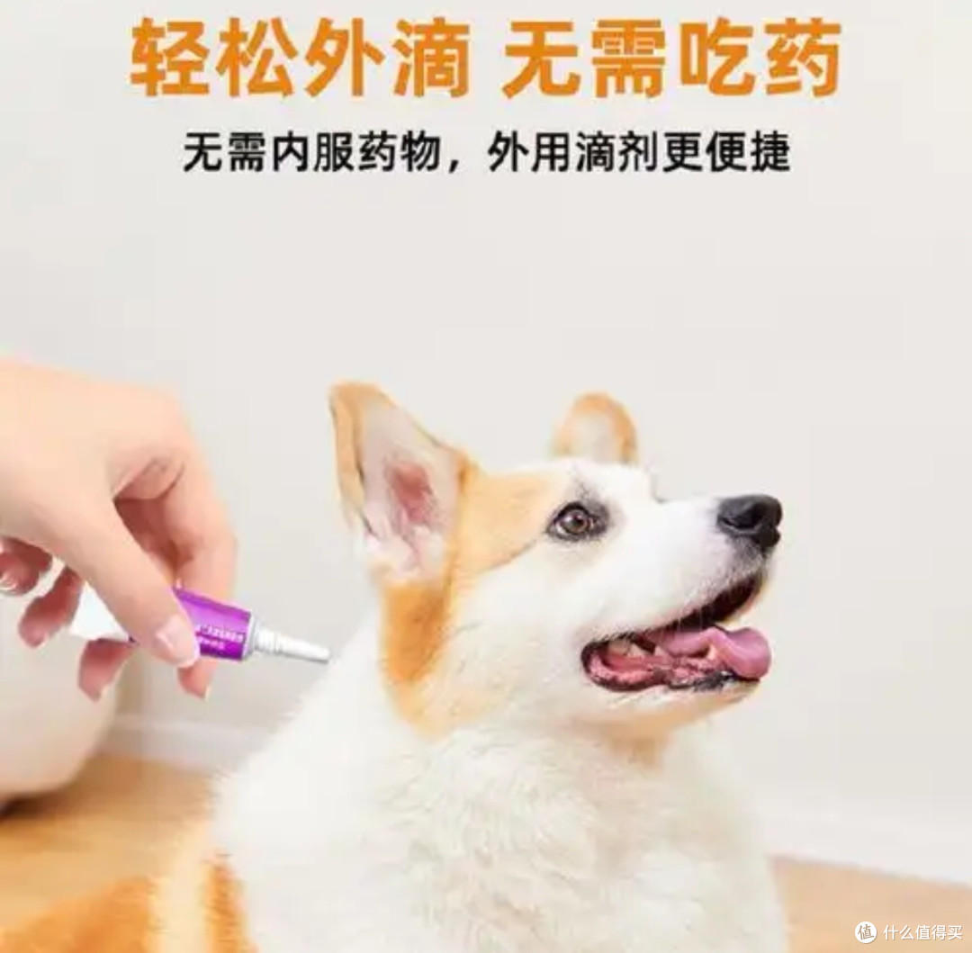 派迪诺驱虫药,让宠物更健康!
