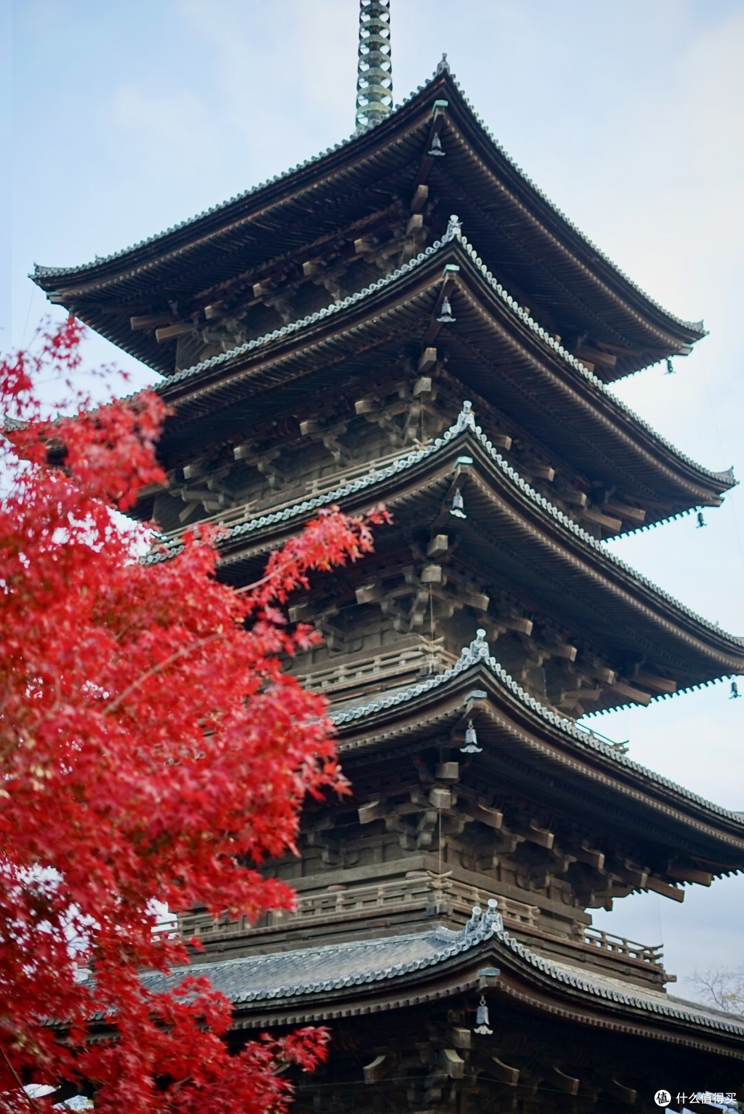 7天6夜京都、奈良、大阪赏枫之旅，超低花费整理