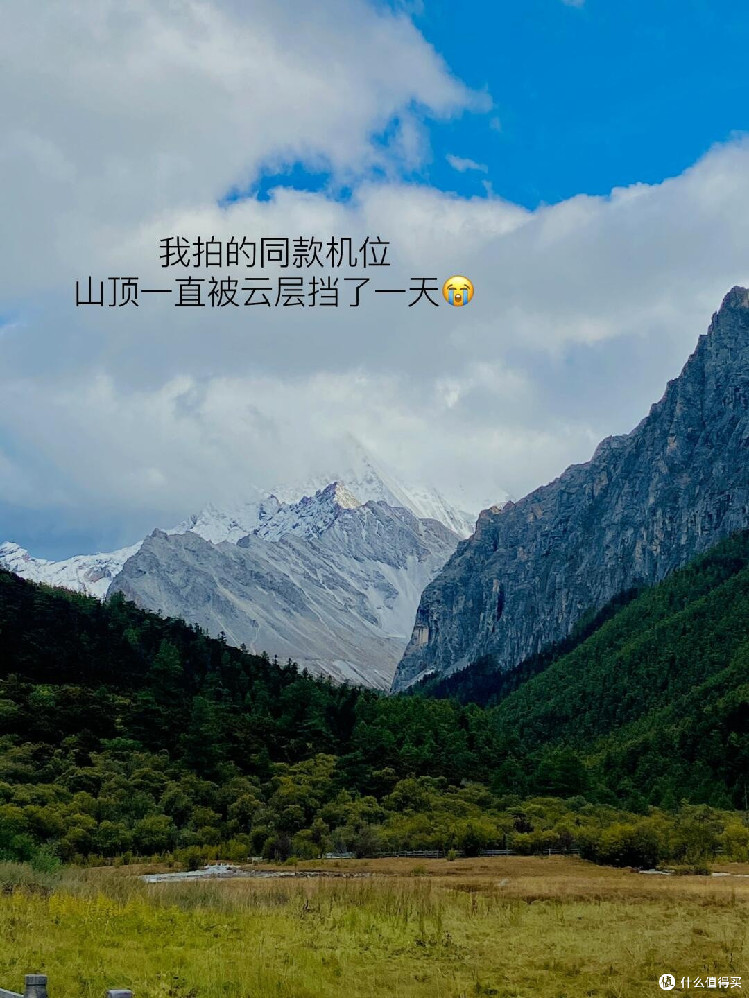 我拍的
