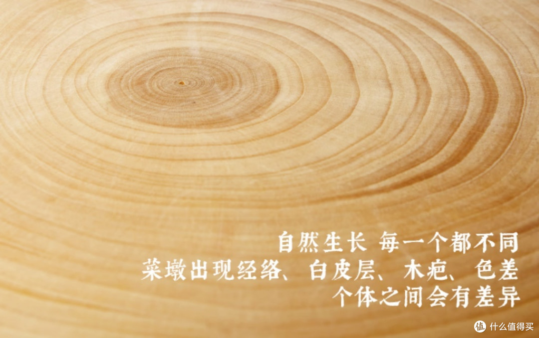 老饭骨 银杏木菜墩：自然之美，实用之选