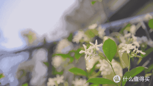 清新甜美,MY WAY带你遇见真我