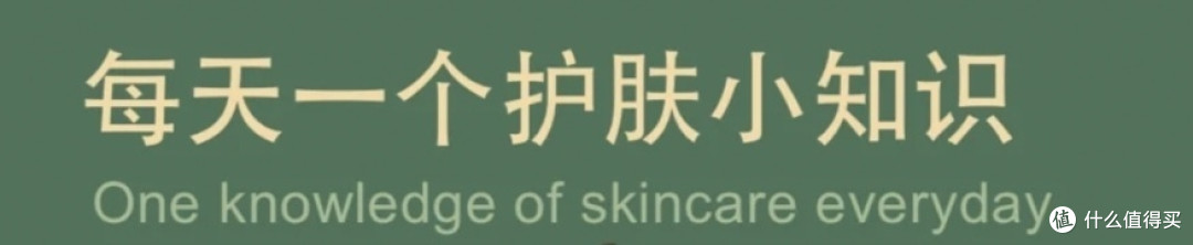 爽肤水选购指南
