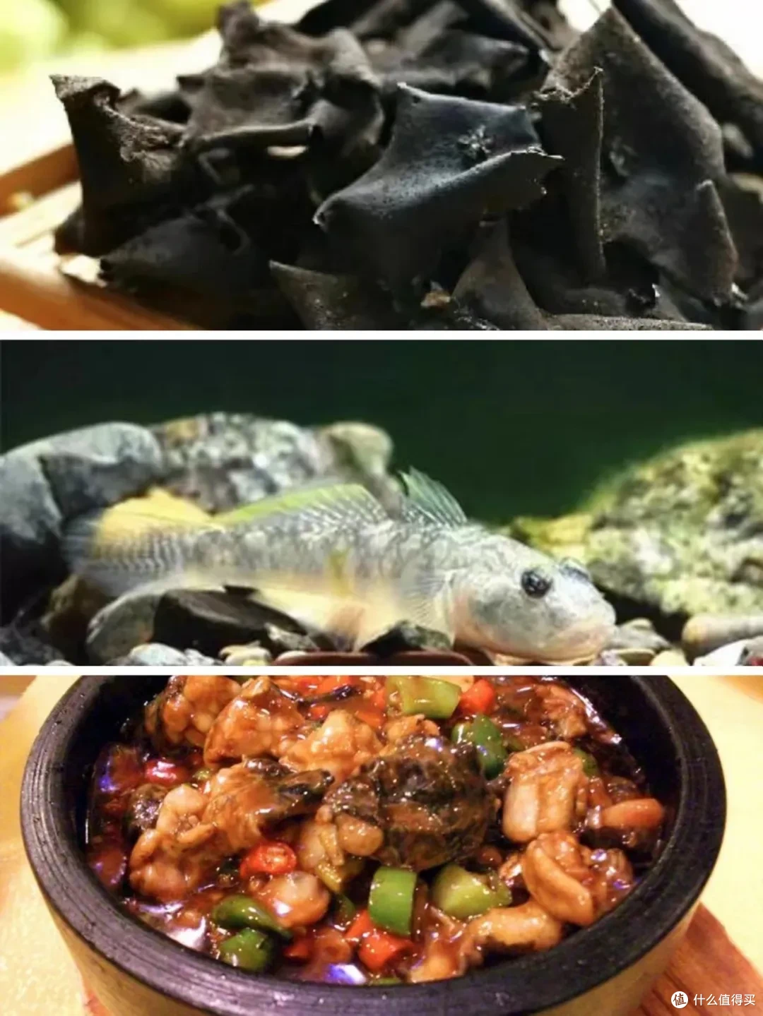 @中国庐山发布