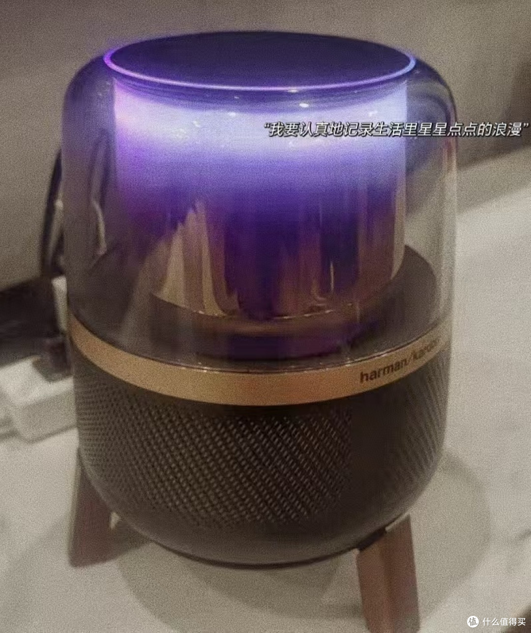 小小的身体大大的能量