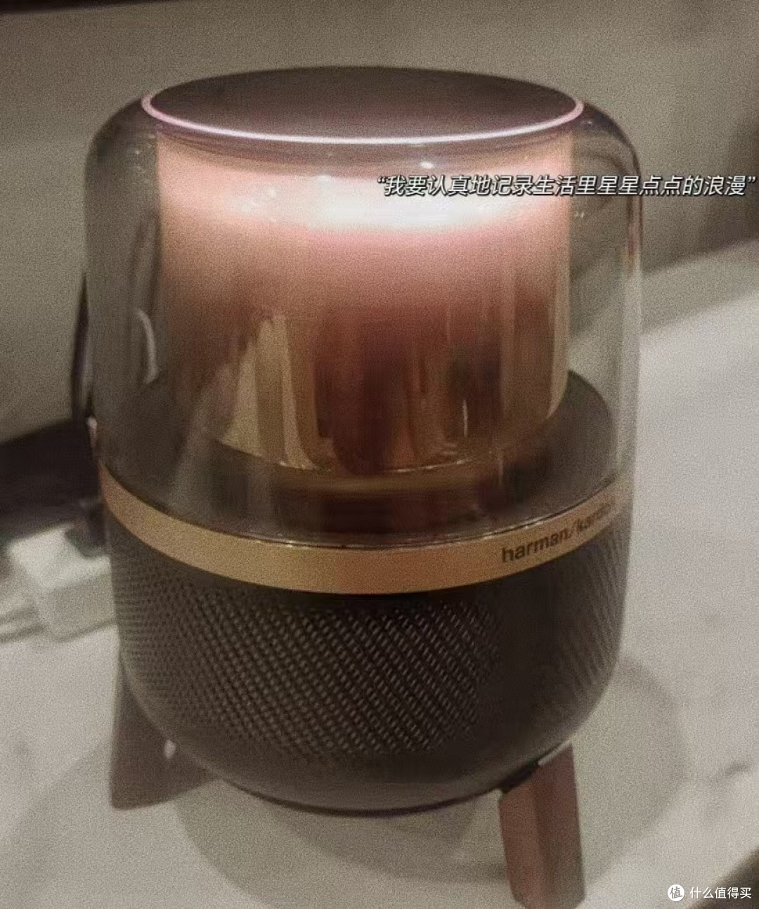 小小的身体大大的能量
