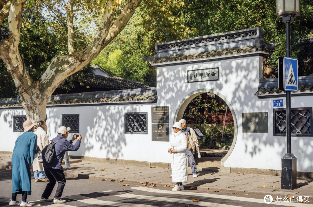 6元起步！去看秋日好风景