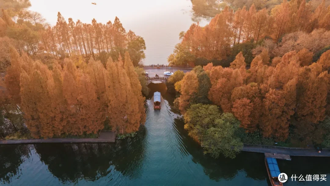 6元起步！去看秋日好风景