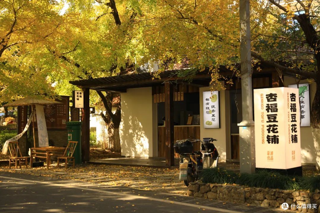 高铁25min！太湖边的这个小城，我的一日游首选地！