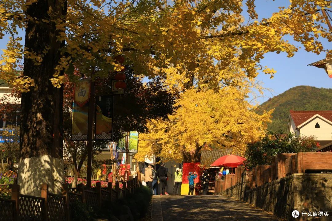 高铁25min！太湖边的这个小城，我的一日游首选地！
