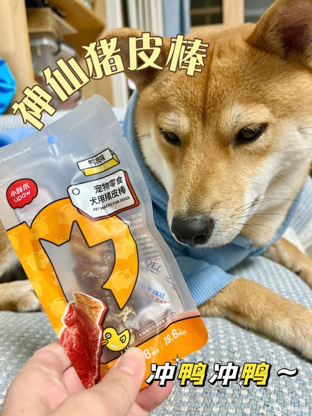 找到了适合玻璃胃的小狗磨牙零食❗