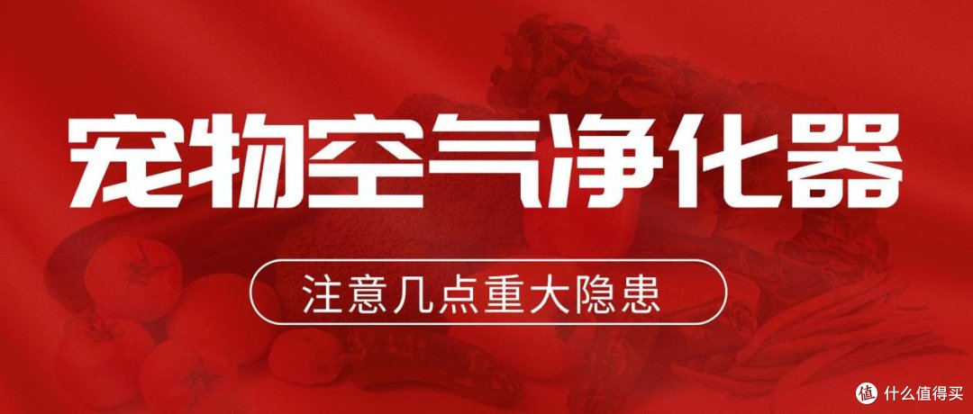 新手铲屎官必看!宠物空气净化器选哪种比较好用点的品牌?