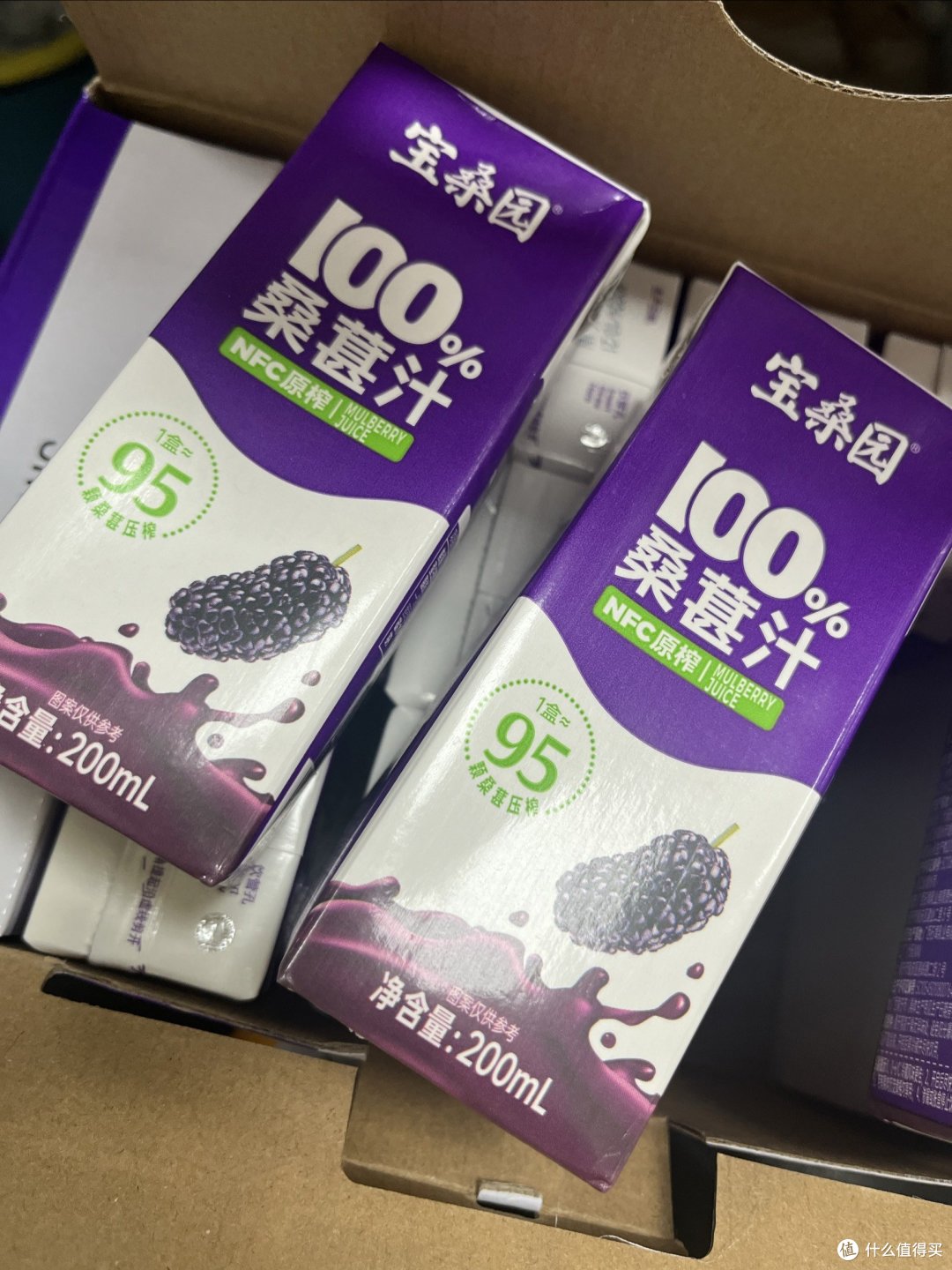 【健康美味一网打尽】宝桑园NFC桑葚汁,全家老小的营养好选择!