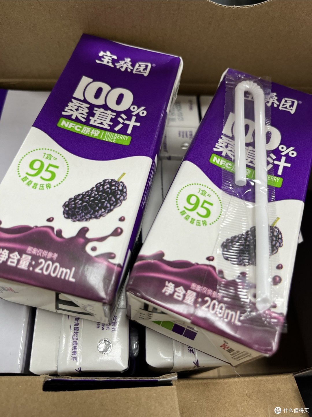 【健康美味一网打尽】宝桑园NFC桑葚汁,全家老小的营养好选择!