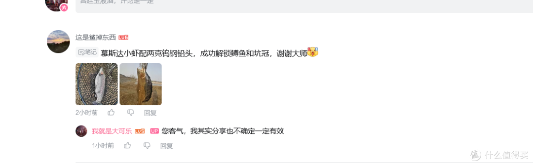 便宜好用的鳟鱼路亚饵,以及冬季鳟鱼路亚控饵手法