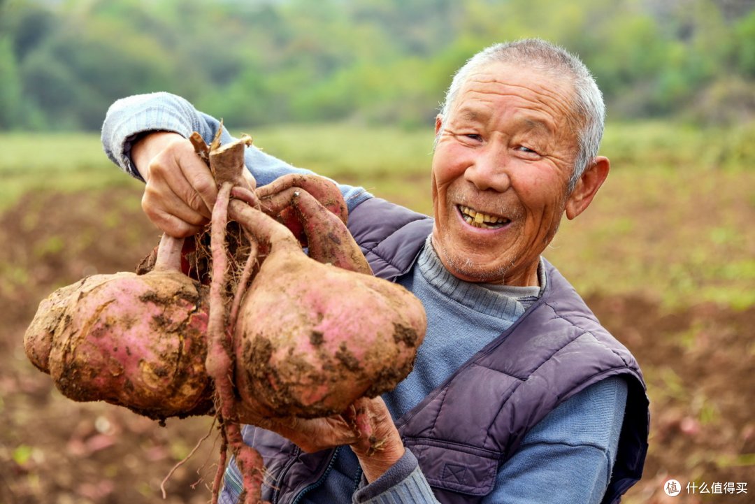 郧阳红薯粉条,湖北省十堰市郧阳区特产,中国国家地理标志产品。