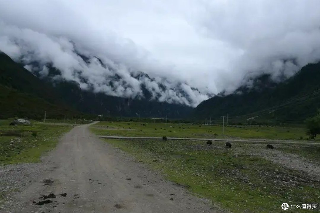 驾爱车逐风，绘旅途长卷