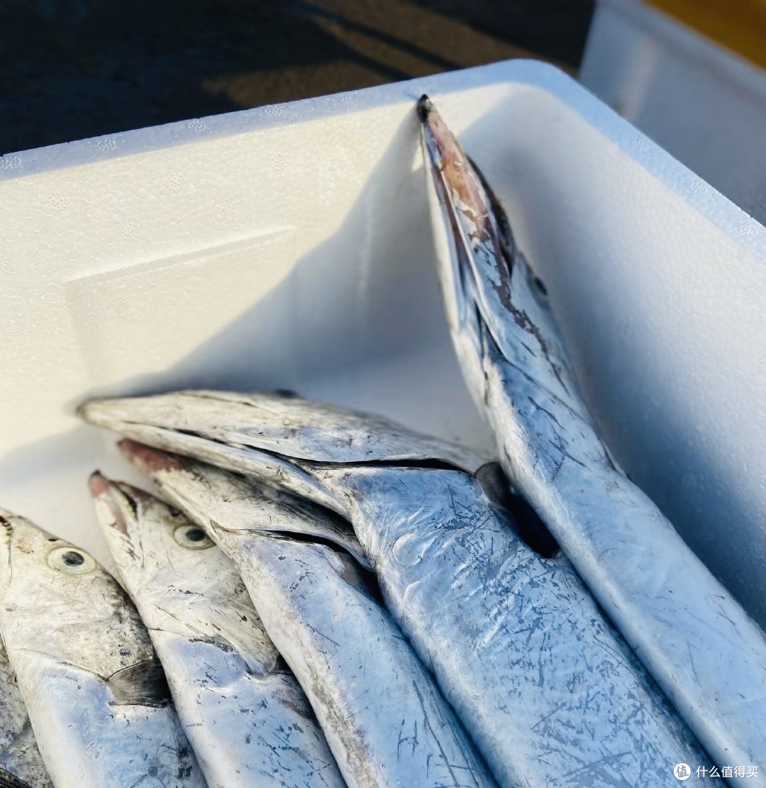 一眼心动的双节礼物🎁野生海捕刀鱼就说你心动吗？