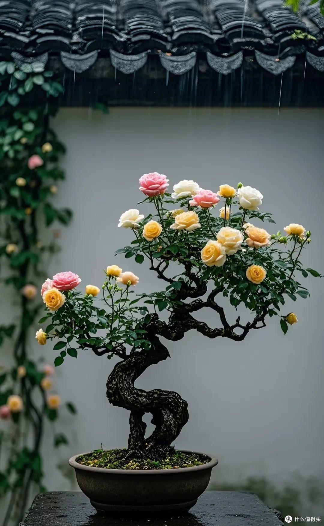 以前很流行，如今却被嫌弃的8种花，看谁还再乱跟风养？