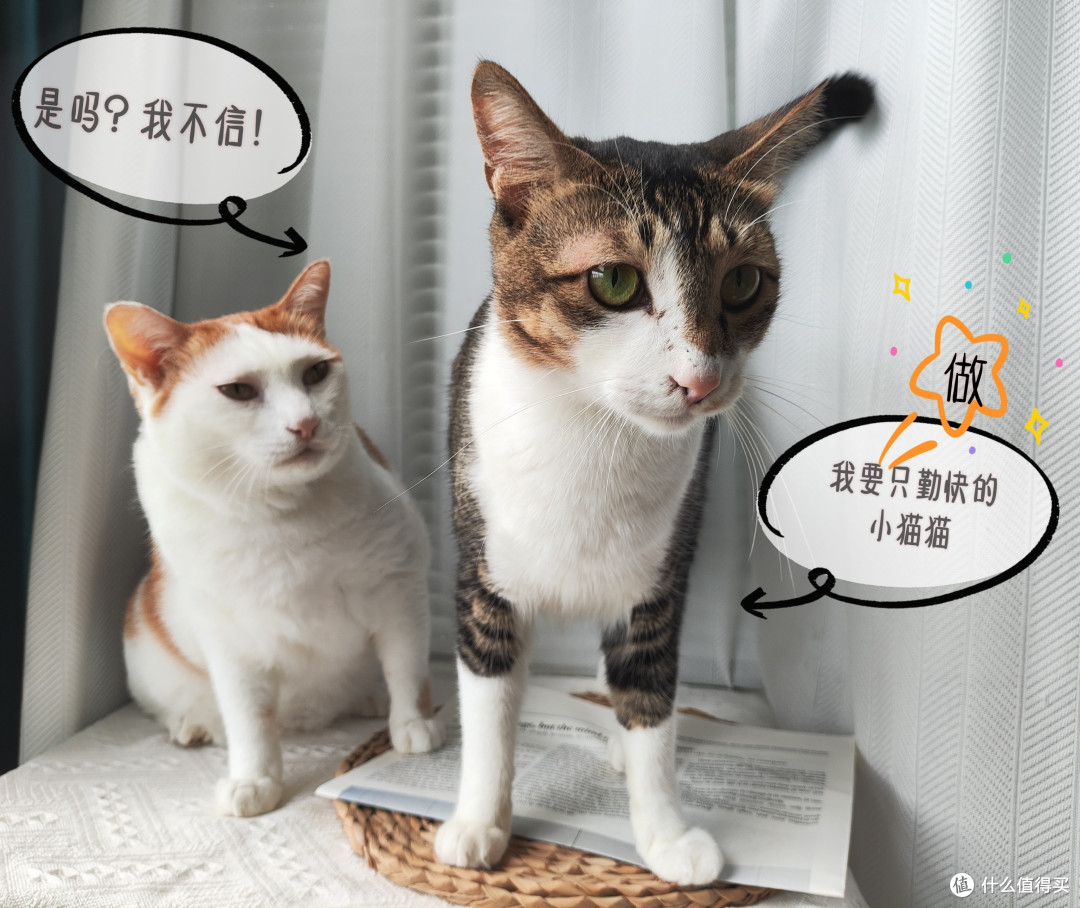 嗯，来自懒鬼吐槽式分享——自家的智能家居