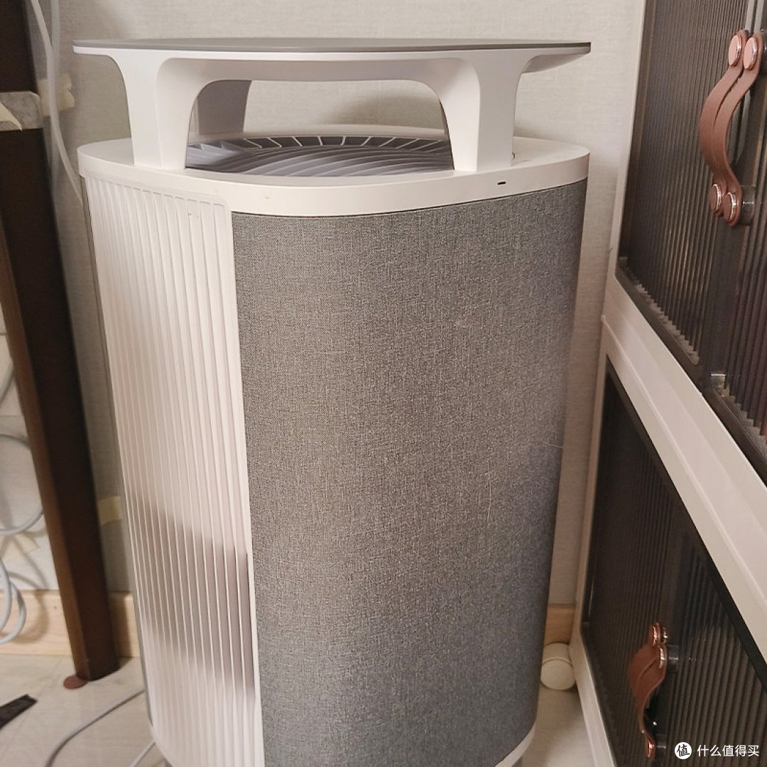 鼻炎患者想养猫,宠物空气净化器有用吗?哪款除毛效果好?